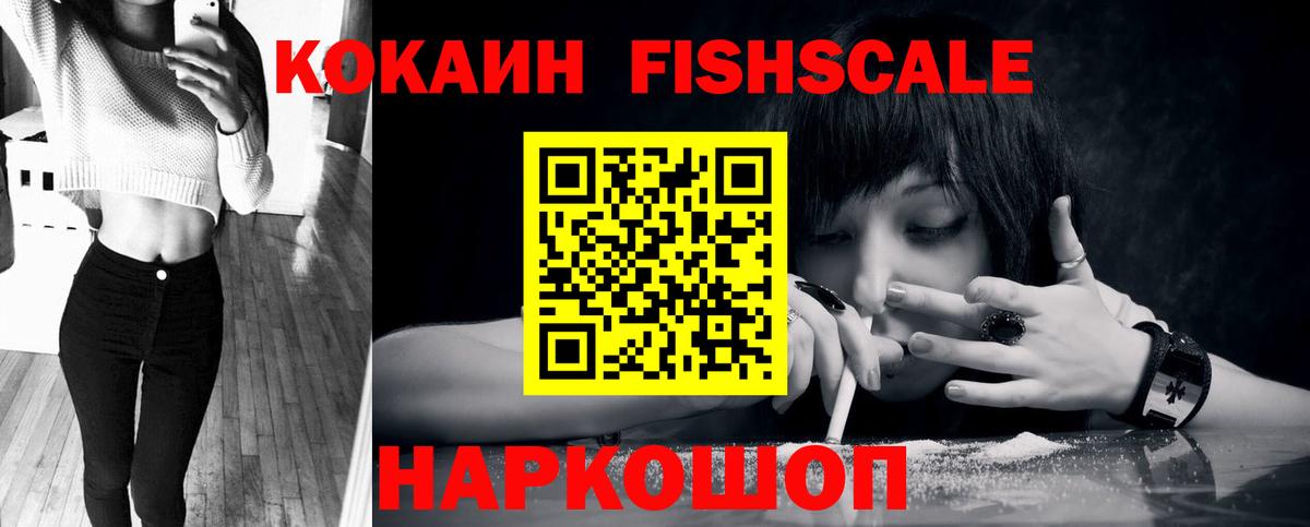Кокаин FishScale  Вход с VPN  Новозыбков 