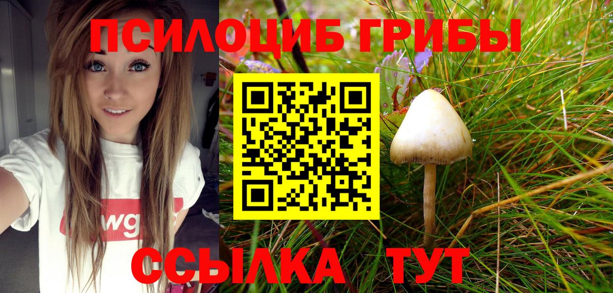 Галлюциногенные грибы GOLDEN TEACHER Новозыбков