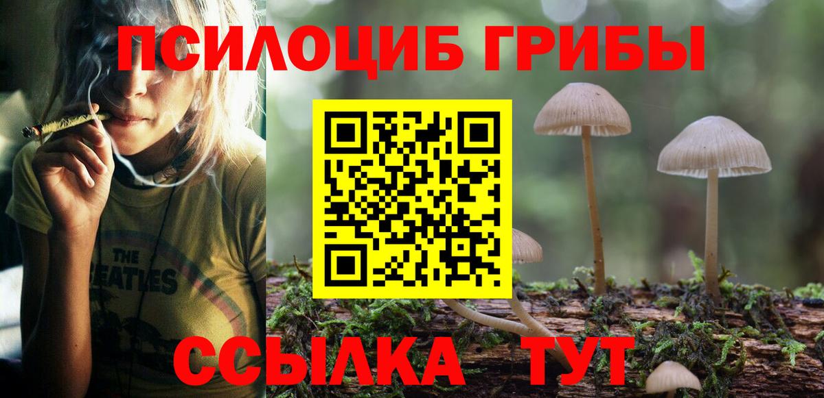 Псилоцибиновые грибы мицелий  Псилоцибиновые грибы Psilocybe  как найти закладки  Новозыбков  Вход с VPN 